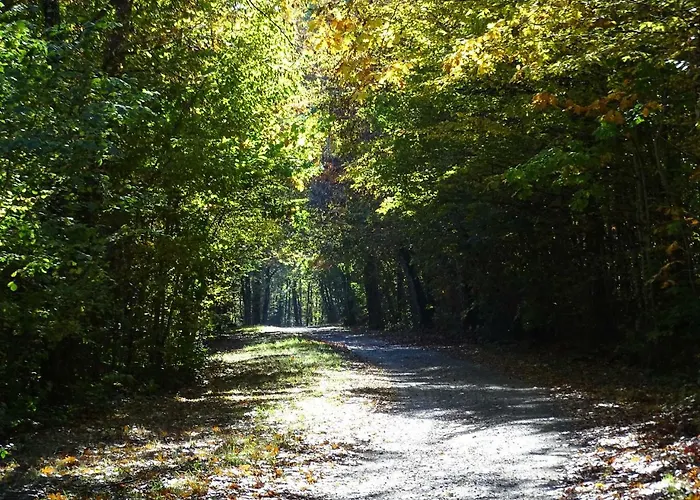 Chateau De La Redortiere 3* Mouzon